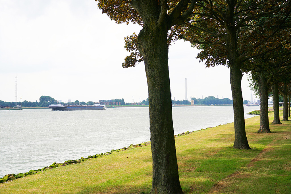 rederij_ameland_rondvaart_europoort_restaurant_schiedam_maasboulevard